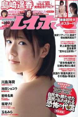 绝望主妇第四季